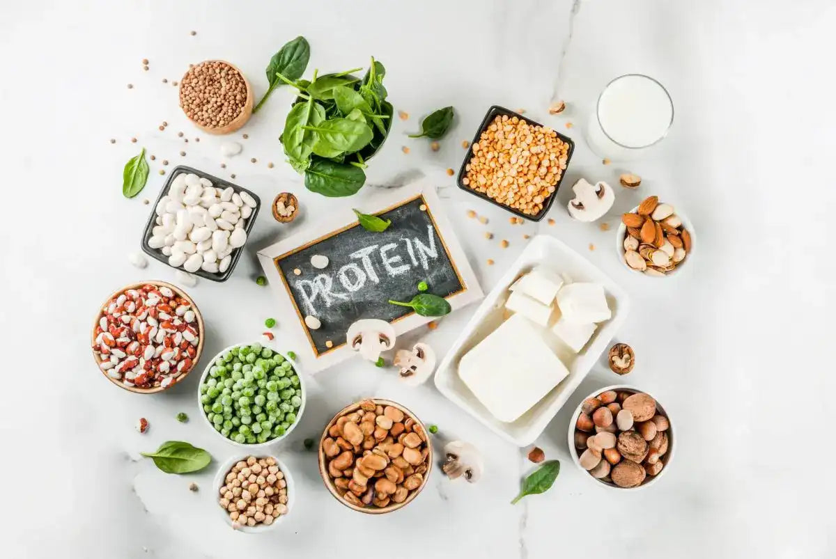 Pflanzliches Protein – Mythos und Wahrheit: Was stimmt wirklich?